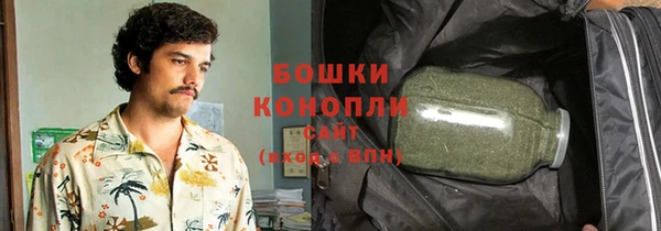 прущие грибы Армянск