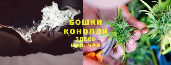 прущие грибы Армянск