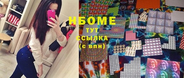 прущие грибы Армянск