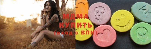 хмурый Аркадак