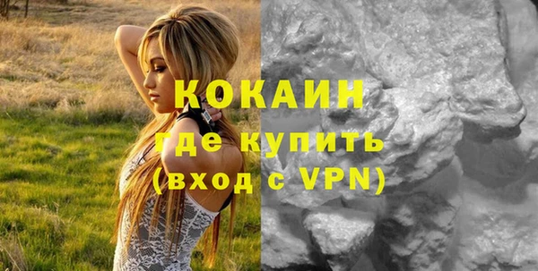 прущие грибы Армянск