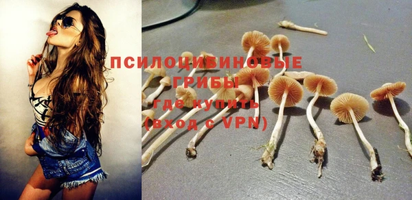 прущие грибы Армянск