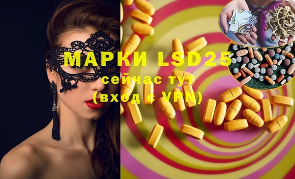 хмурый Аркадак