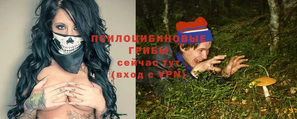 хмурый Аркадак