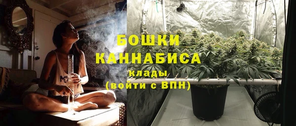 прущие грибы Армянск