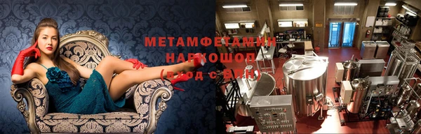 хмурый Аркадак