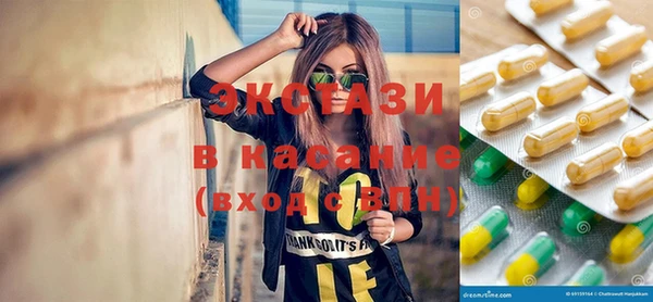 хмурый Аркадак