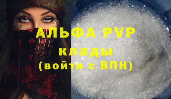 хмурый Аркадак