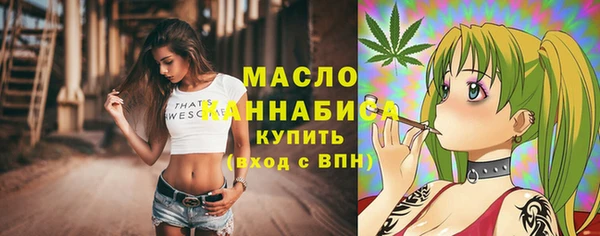 хмурый Аркадак