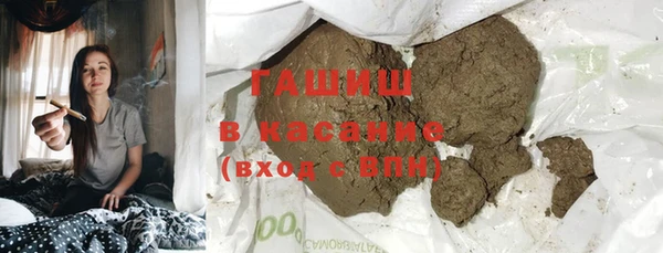 хмурый Аркадак
