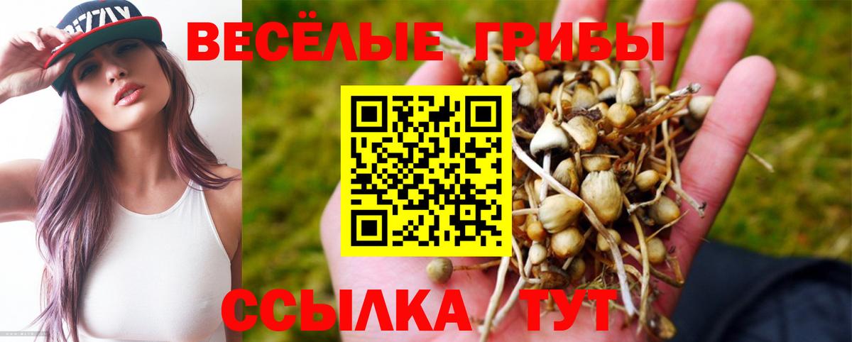 Псилоцибиновые грибы Magic Shrooms  Вход с VPN  Воткинск  Псилоцибиновые грибы MAGIC MUSHROOMS 